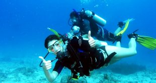 Essential Scuba Diving Equipment Checklist