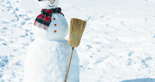 Build a Snowman Checklist