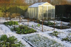 december gardening checklist